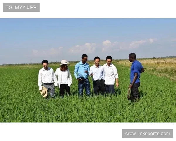 联赛官方重申公平竞争承诺，擘画未来发展新蓝图