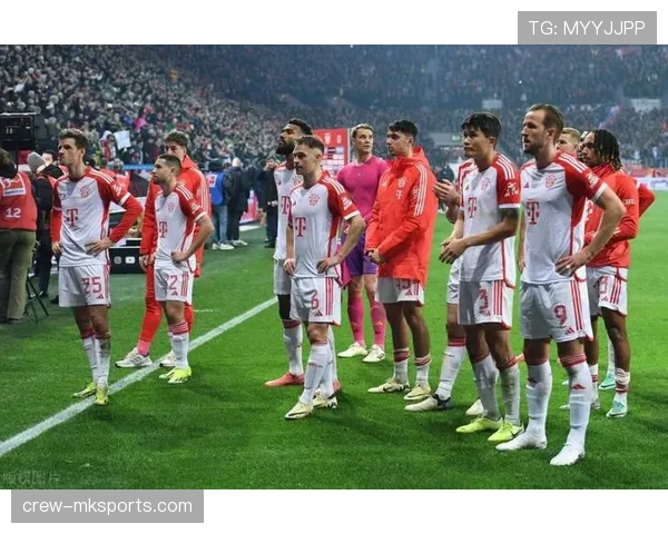 德甲球队阵容深度升级，夏季转会新援提升综合竞争力