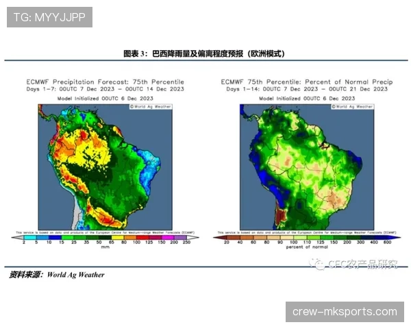 巴尔科拉终结效率具体体现在哪些方面，存在哪些改进空间？